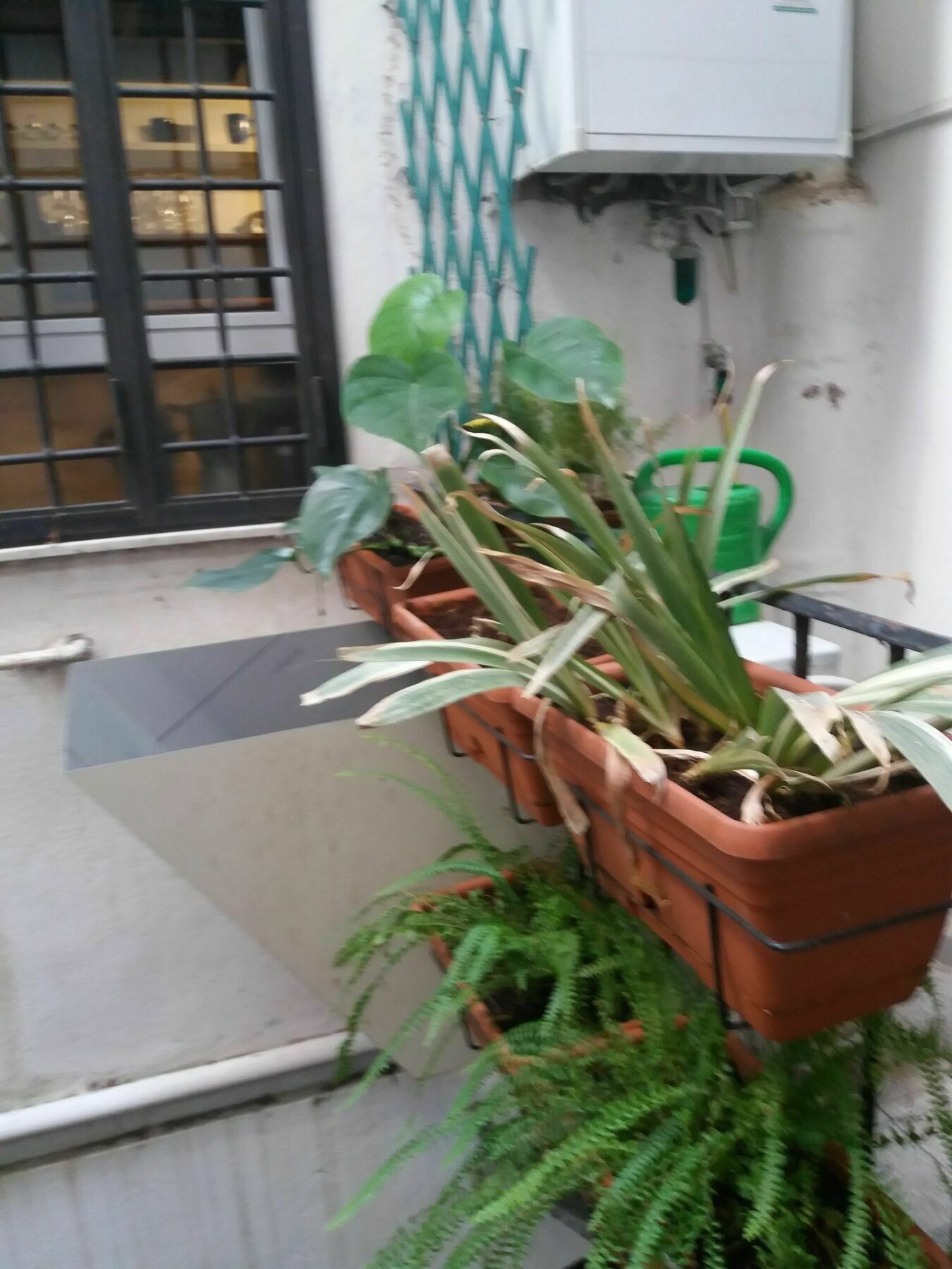 Campofiori Apartamento Roma Exterior foto